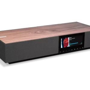 Cambridge Audio Evo One